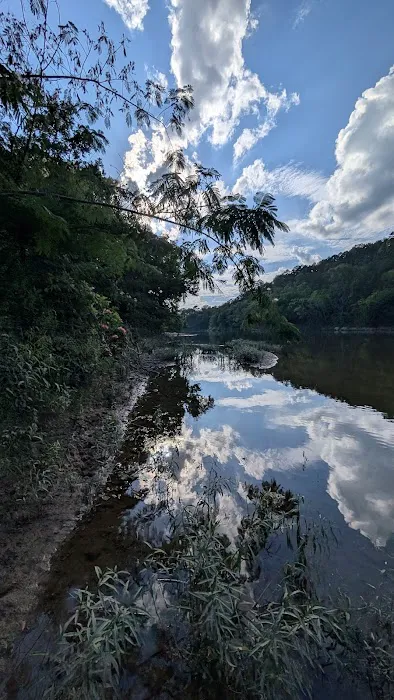 Shirley Creek Recreation Site Picture 10