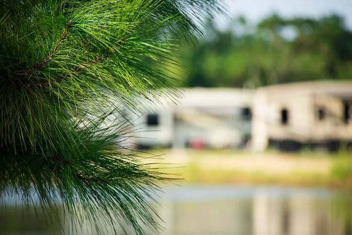 Osprey Lakes RV Park Picture 3