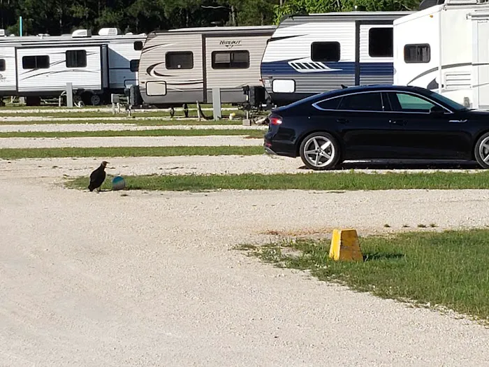 Osprey Lakes RV Park Picture 10