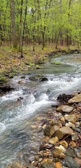 Crystal Recreation Area Picture 1
