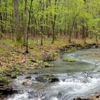 Crystal Recreation Area ico