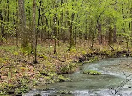 Crystal Recreation Area