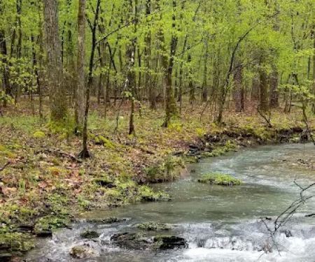 Crystal Recreation Area