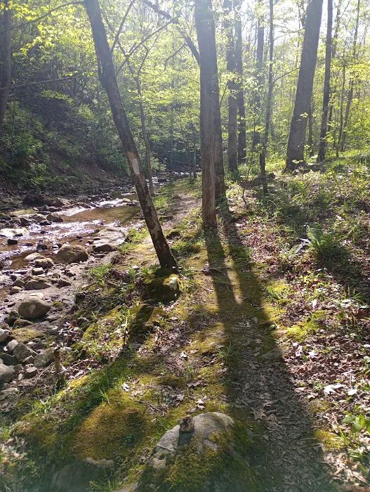 Crystal Recreation Area Picture 4