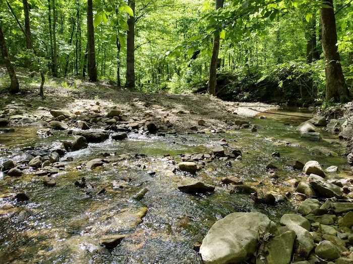 Crystal Recreation Area Picture 5