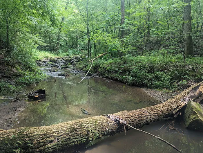 Crystal Recreation Area Picture 6