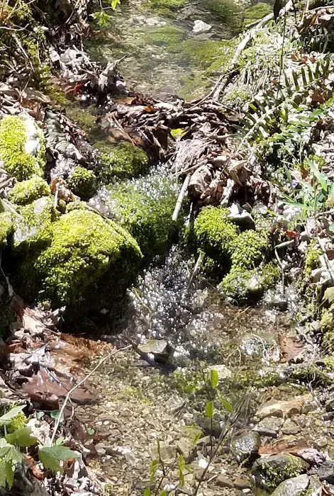 Crystal Recreation Area Picture 8