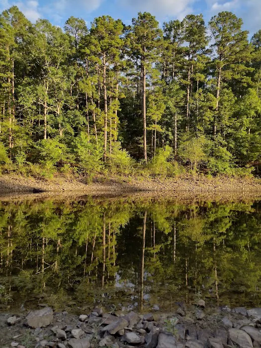 EDGEWOOD Picture 7