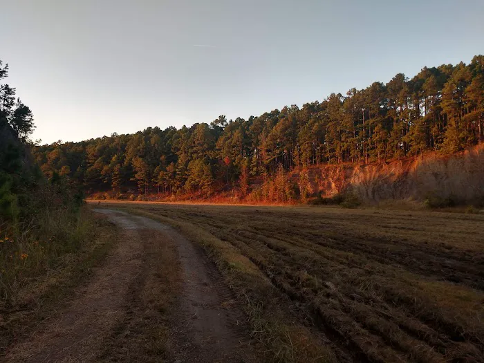 Iron Mountain Campground Picture 3