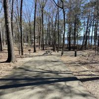 Campsite #81 ico