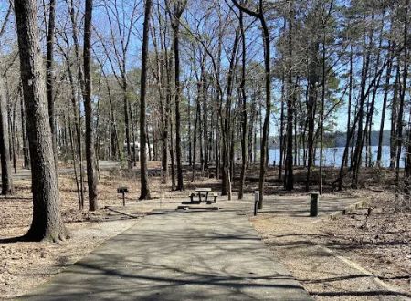 Campsite #81
