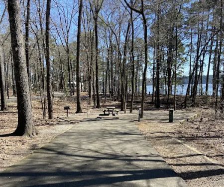 Campsite #81