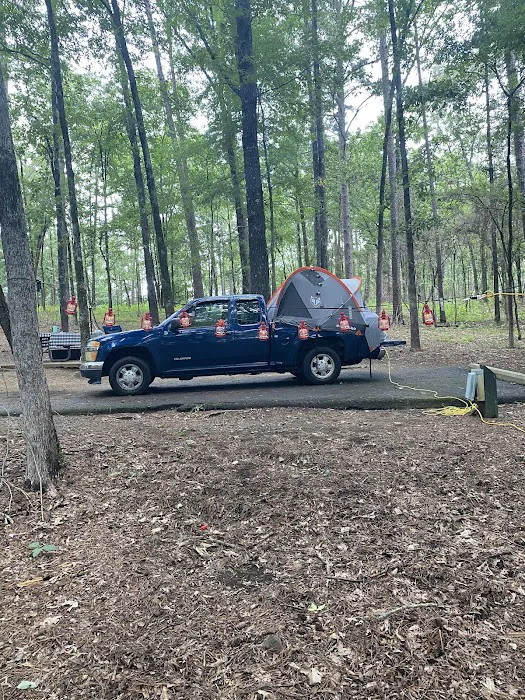 Campsite #81 Picture 4