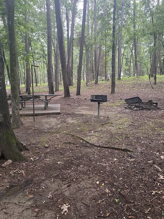 Campsite #81 Picture 6