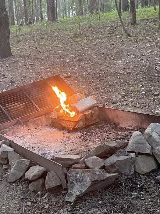 Campsite #81 Picture 7