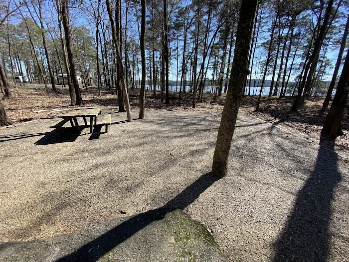 Campsite #81 Picture 9