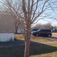 Pecan Village Mobile Home Comm ico