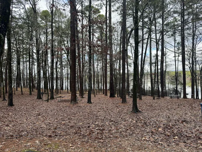 Caddo Drive Campground Picture 1