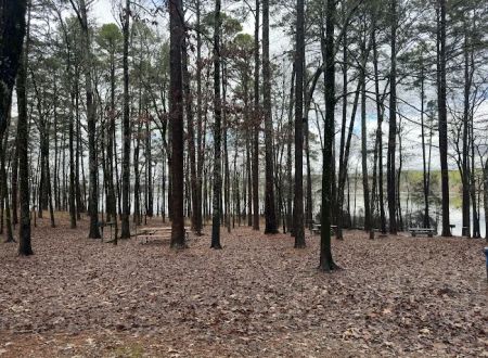 Caddo Drive Campground