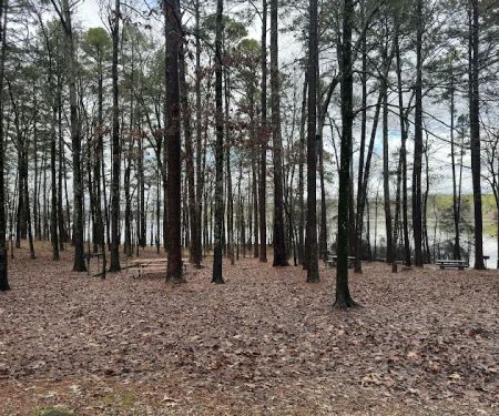 Caddo Drive Campground