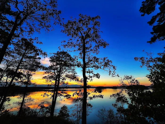 Caddo Drive Campground Picture 7