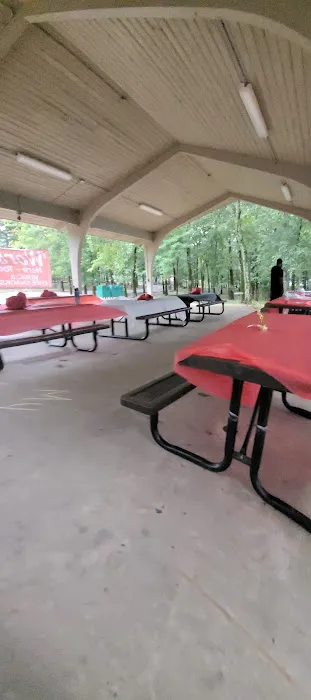 Pavilion #1 - Next to playground Picture 1