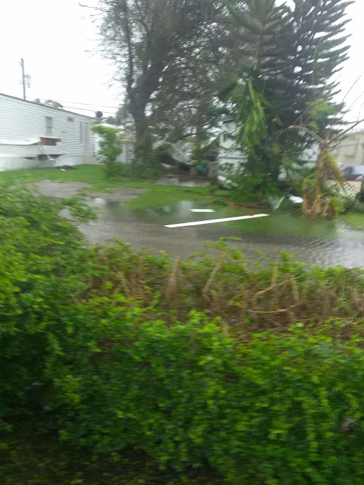 Redlands Mobile Park Picture 1
