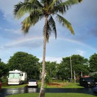 Palm Garden RV Park, Homestead, Florida ico