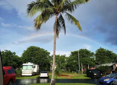 Palm Garden RV Park, Homestead, Florida