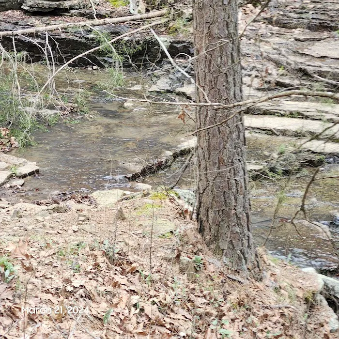Quail Valley Picture 6