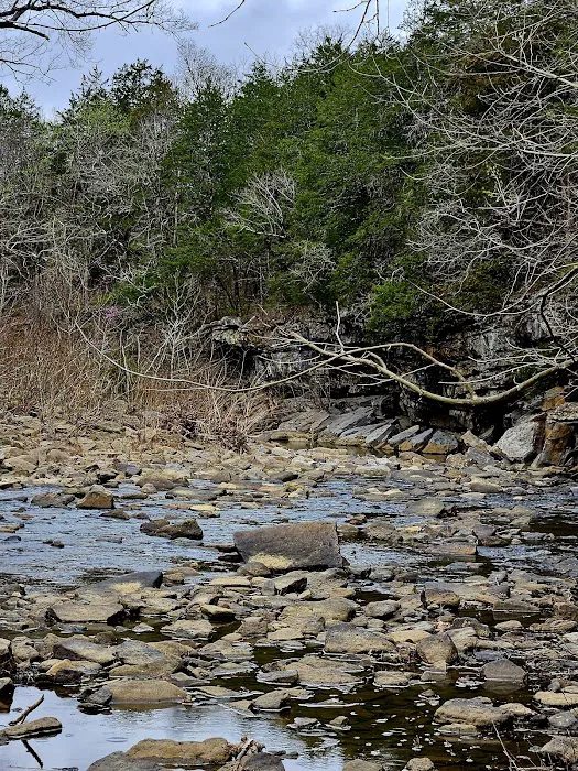 Devils Den Campground E Picture 9