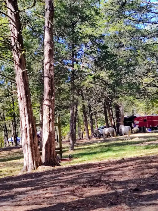 Devil’s Den Horse Camp Picture 5