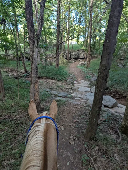 Devil’s Den Horse Camp Picture 4