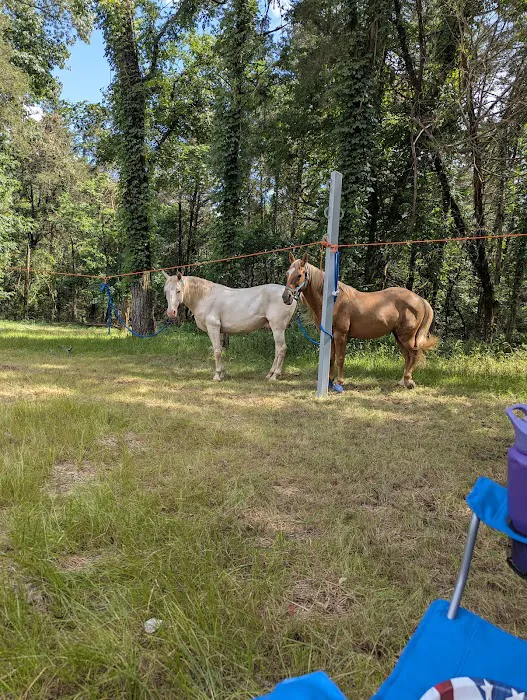 Devil’s Den Horse Camp Picture 8