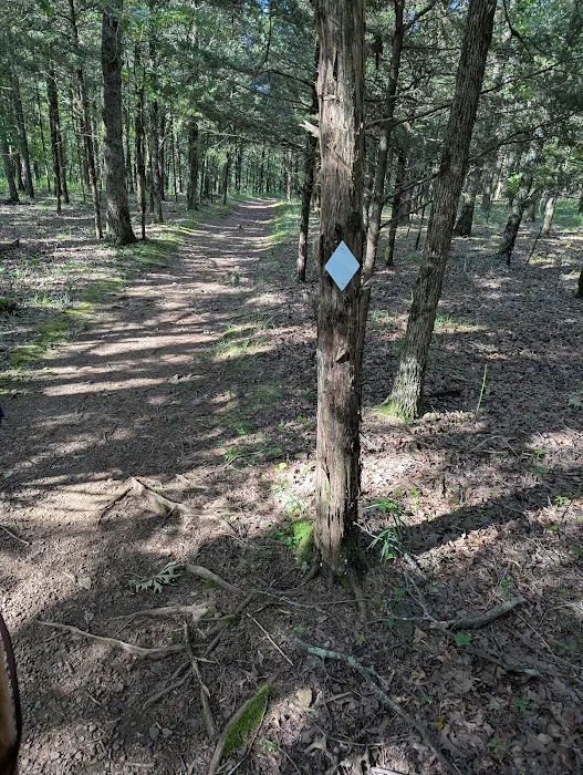 Devil’s Den Horse Camp Picture 6