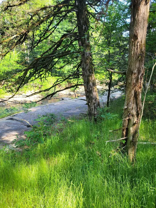 Devil’s Racetrack Trailhead and Campground Picture 6