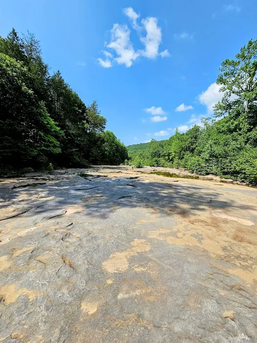 Devil’s Racetrack Trailhead and Campground Picture 9