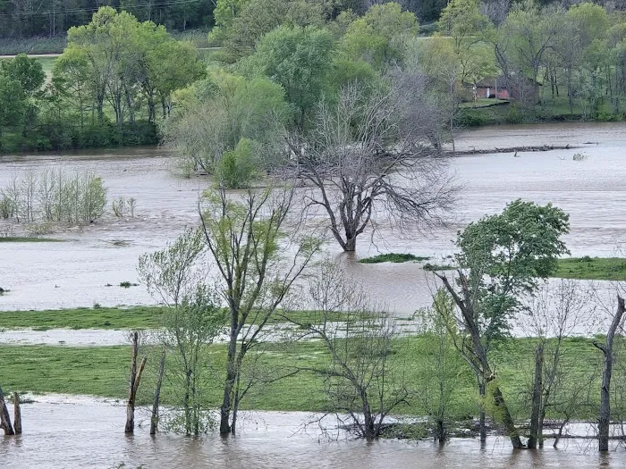 River Ranch Picture 2