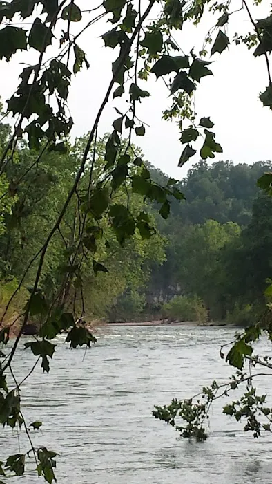 Illinois River Yacht Club and Campground Picture 4