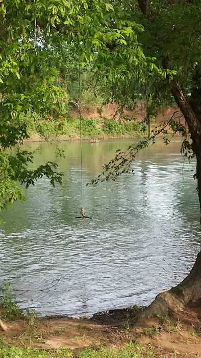 Illinois River Yacht Club and Campground Picture 9