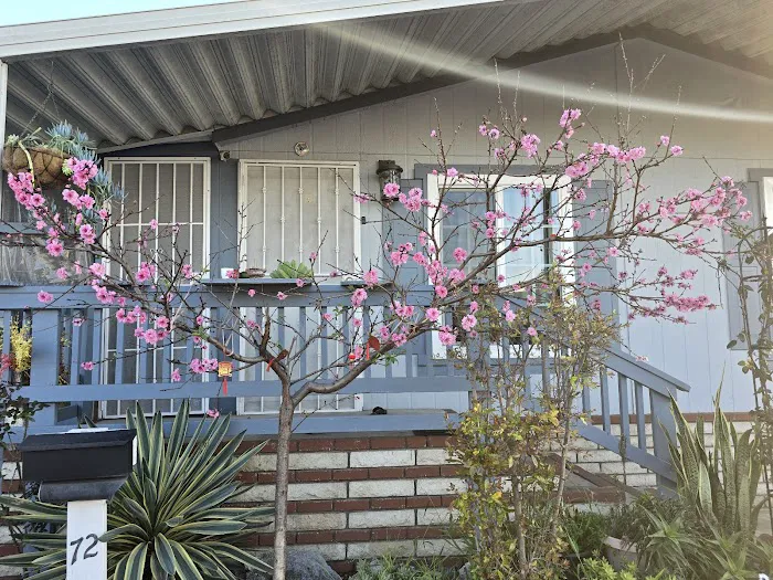 Mission Del Amo Mobile Home Picture 6