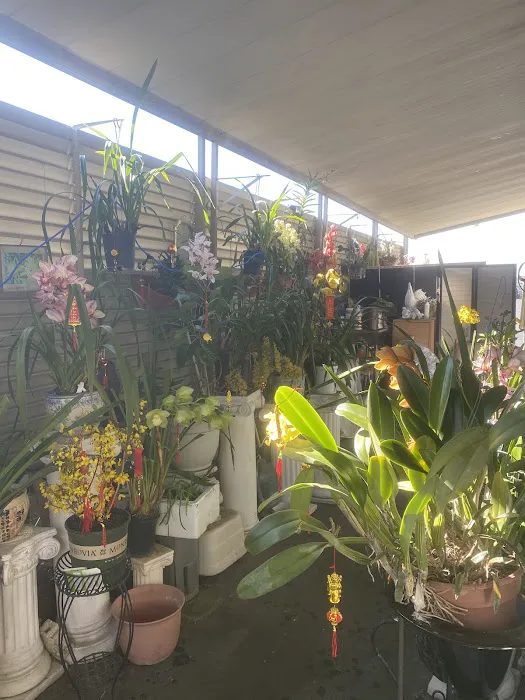 Americana Mobile Home Estates Picture 4