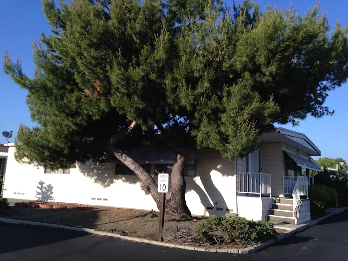 Americana Mobile Home Estates Picture 6