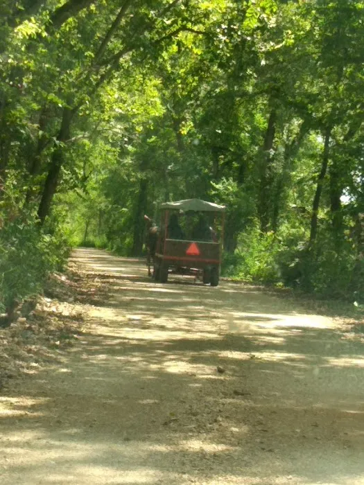 Ponderosa Trails Picture 1