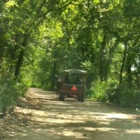 Ponderosa Trails ico