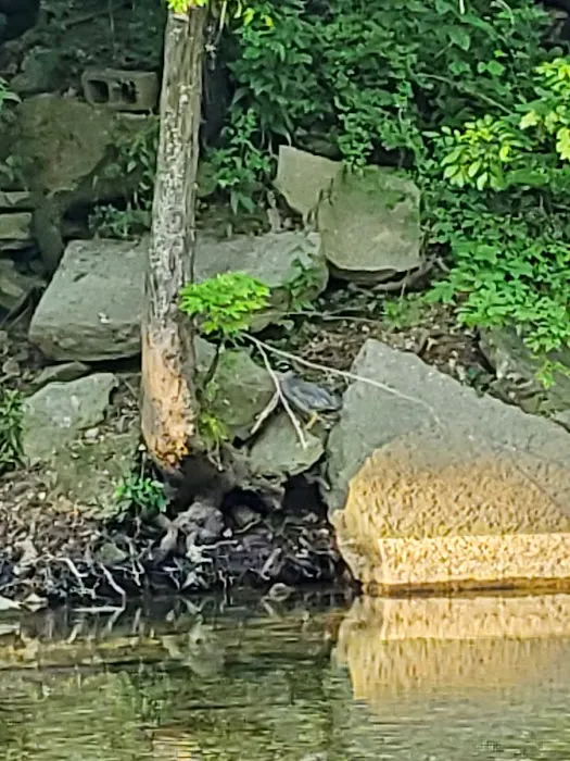 Creekside Campground 1 Picture 1