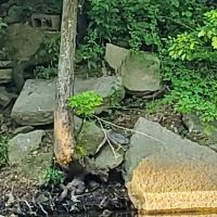 Creekside Campground 1 ico