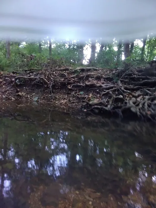 Creekside Campground 1 Picture 9