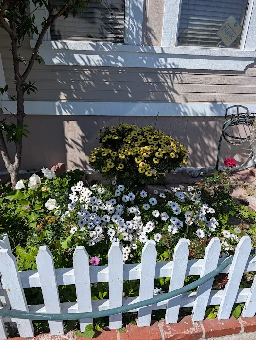 El Dorado Mobile Home Park Picture 8