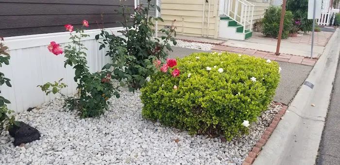 Sandalwood Mobile Home Park Picture 2